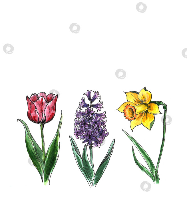 Скачать Весенний набор веселых пасхальных рисунков, нарисованных от руки простыми детскими каракулями. фотосток Ozero