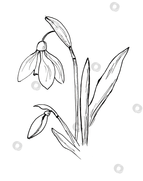 Скачать Набор простых детских рисунков с весенним рисунком. Милая мультяшная иллюстрация с рисованными каракулями. фотосток Ozero