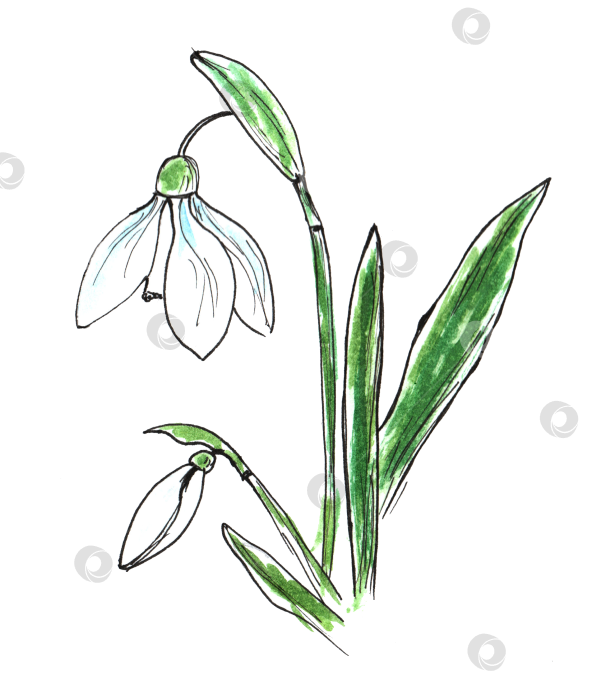 Скачать Набор акварельных рисунков "Весенние простенькие детские каракули" с набросками от руки. Милая мультяшная иллюстрация, выполненная от руки. фотосток Ozero