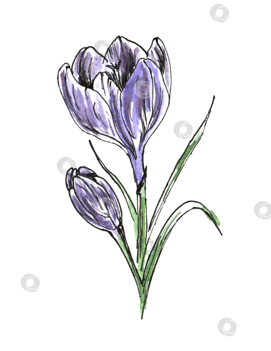 Скачать Набор акварельных рисунков "Весенние простенькие детские каракули" с набросками от руки. Милая мультяшная иллюстрация, выполненная от руки. фотосток Ozero