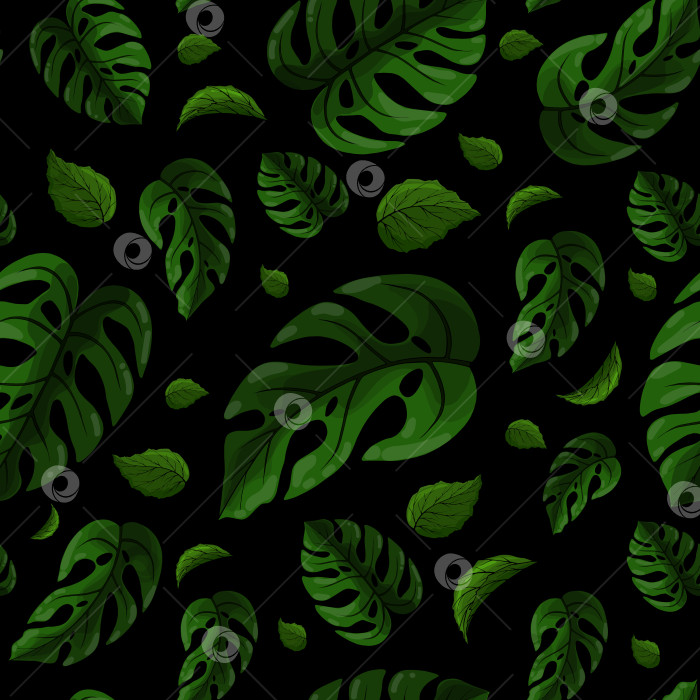 Скачать Бесшовный узор из листьев монстеры на черном фоне. Бесконечная текстура зеленых тропических цветов. Экзотический безграничный фон. Дизайн поверхности из растений летнего рая фотосток Ozero