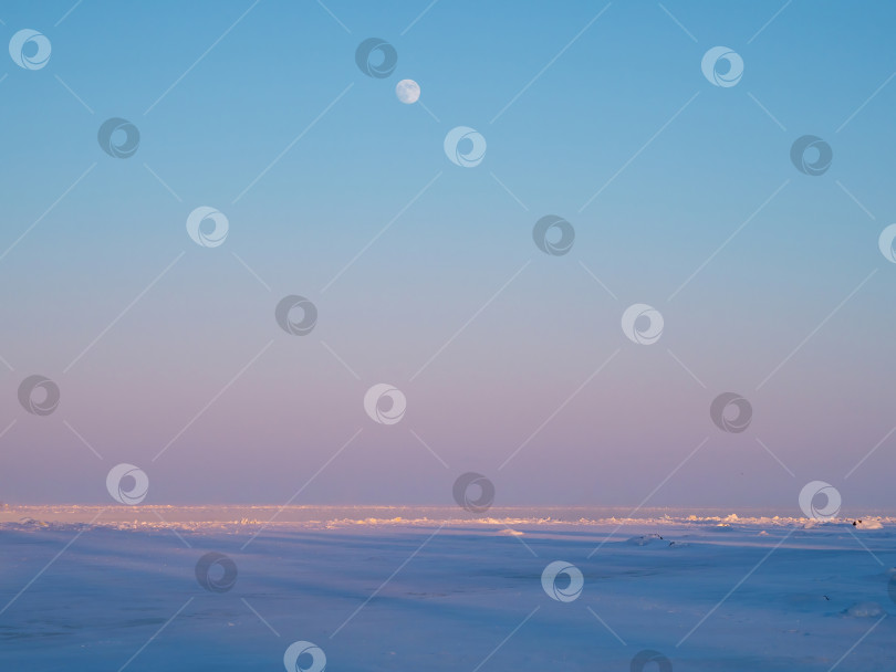 Скачать Луна, поднимающаяся над замерзшим морем. фотосток Ozero