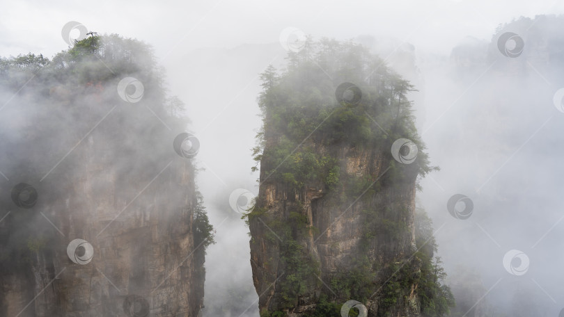 Скачать Потрясающие каменные столбы окутаны туманом. Вершины скрыты за облаками. фотосток Ozero