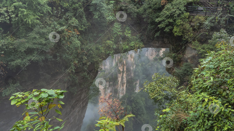 Скачать Естественная каменная арка над ущельем. Зеленая растительность на крутых склонах скал. фотосток Ozero