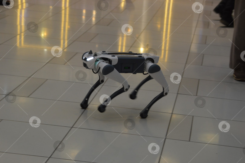 Скачать Четвероногий робот фотосток Ozero