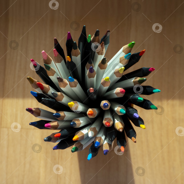 Скачать Вид сверху на цветные карандаши в круглой подставке. Цветные карандаши в деревянном футляре для творчества, хобби, профессионалов. фотосток Ozero