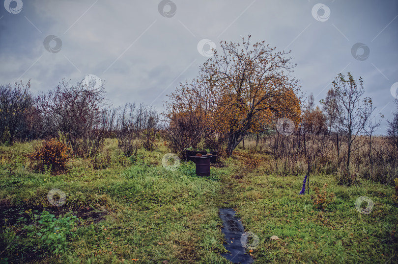 Скачать Старый сад в деревне поздней осенью фотосток Ozero