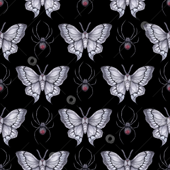 Скачать Бесшовный узор с серыми мотыльками и ядовитыми пауками на черном фоне. фотосток Ozero