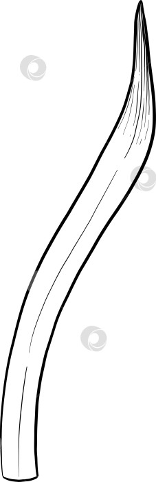 Скачать Традиционный набор праздничных элементов декора "Пасхальный цветок". Иллюстрация в стиле туши. Яйца, узлы, весенние садовые цветы и корзина с выгравированными контурами. Монохромная графика в стиле нарисованных от руки линий фотосток Ozero