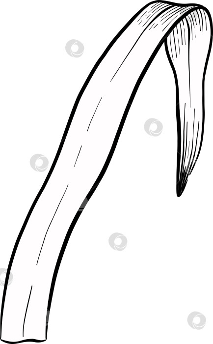 Скачать Традиционный набор праздничных элементов декора "Пасхальные цветы". Иллюстрация в стиле туши. Яйца, узлы, весенние садовые цветы и корзина с выгравированными контурами. Монохромная графика в виде нарисованных от руки линий для букетов, венков, открыток, поздравлений. фотосток Ozero