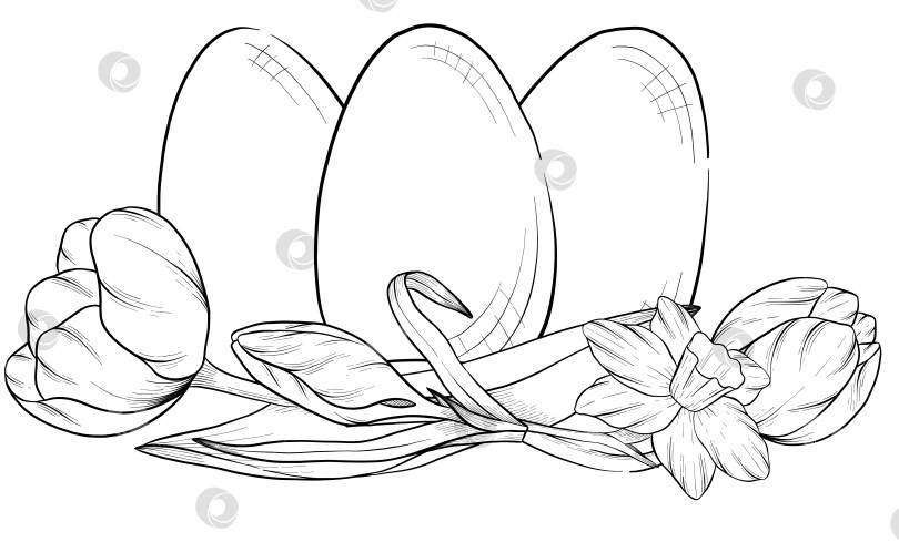 Скачать Традиционный набор праздничных элементов декора "Пасхальные цветы". Иллюстрация в стиле туши. Яйца, узлы, весенние садовые цветы и корзина с выгравированными контурами. Монохромная графика в виде нарисованных от руки линий для букетов, венков, открыток, поздравлений. фотосток Ozero