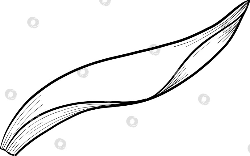 Скачать Традиционный набор праздничных элементов декора "Пасхальные цветы". Иллюстрация в стиле туши. Яйца, узлы, весенние садовые цветы и корзина с выгравированными контурами. Монохромная графика в виде нарисованных от руки линий для букетов, венков, открыток, поздравлений. фотосток Ozero