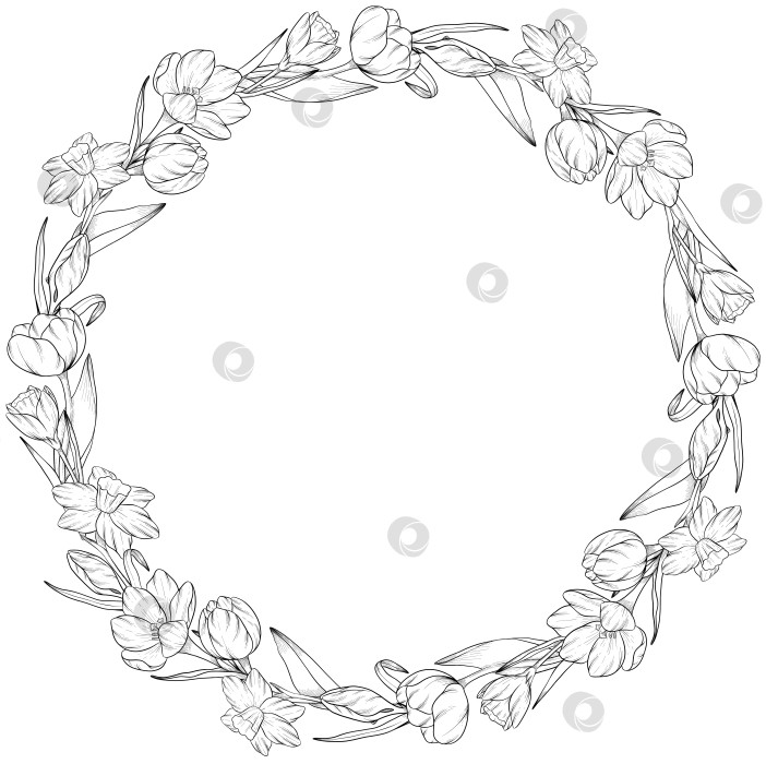 Скачать Традиционный набор праздничных элементов декора "Пасхальные цветы". Иллюстрация в стиле туши. Яйца, узлы, весенние садовые цветы и корзина с выгравированными контурами. Монохромная графика в виде нарисованных от руки линий для букетов, венков, открыток, поздравлений. фотосток Ozero