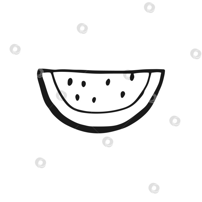 Скачать Арбуз. Векторная иллюстрация, нарисованная вручную. Стиль линейного искусства изолирован на белом фоне. фотосток Ozero