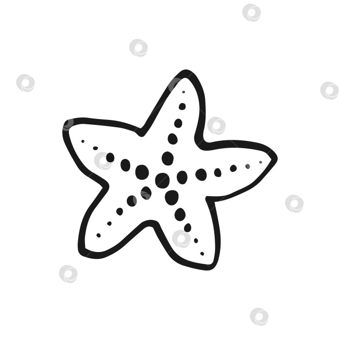 Скачать Морская звезда. Векторная иллюстрация, нарисованная вручную. Стиль линейного искусства изолирован на белом фоне. фотосток Ozero