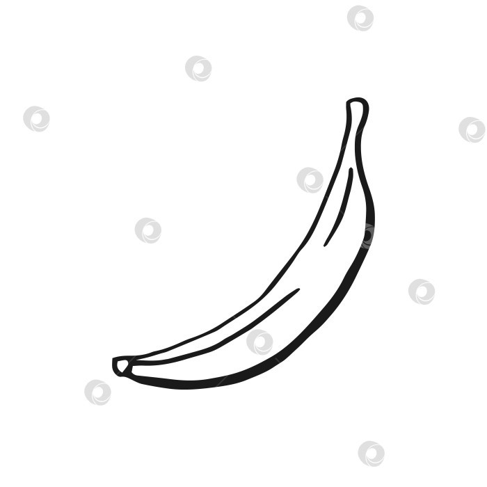 Скачать Банан. Векторная иллюстрация, нарисованная вручную. Стиль линейного искусства изолирован на белом фоне. фотосток Ozero