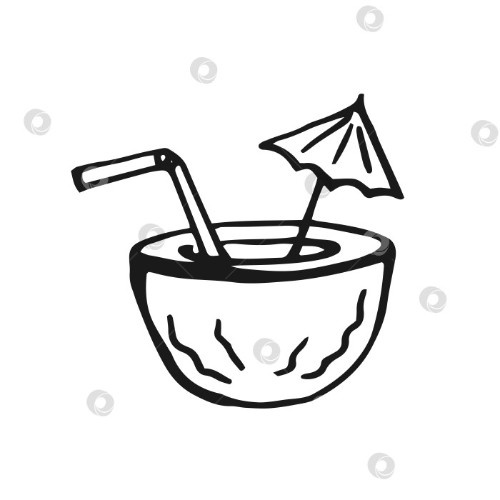 Скачать Кокосовый коктейль. Векторная иллюстрация, нарисованная от руки. Стиль линейного искусства, изолированный на белом фоне. фотосток Ozero