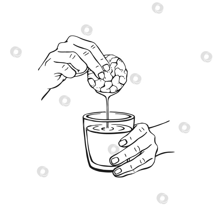Скачать Рука опускает печенье в стакан. Черно-белая векторная иллюстрация, нарисованная от руки. фотосток Ozero
