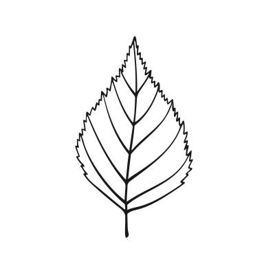 [object Object] undefined