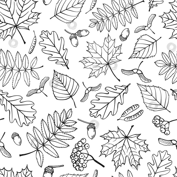 Скачать Бесшовный узор с осенними листьями. Векторная иллюстрация, нарисованная от руки. фотосток Ozero
