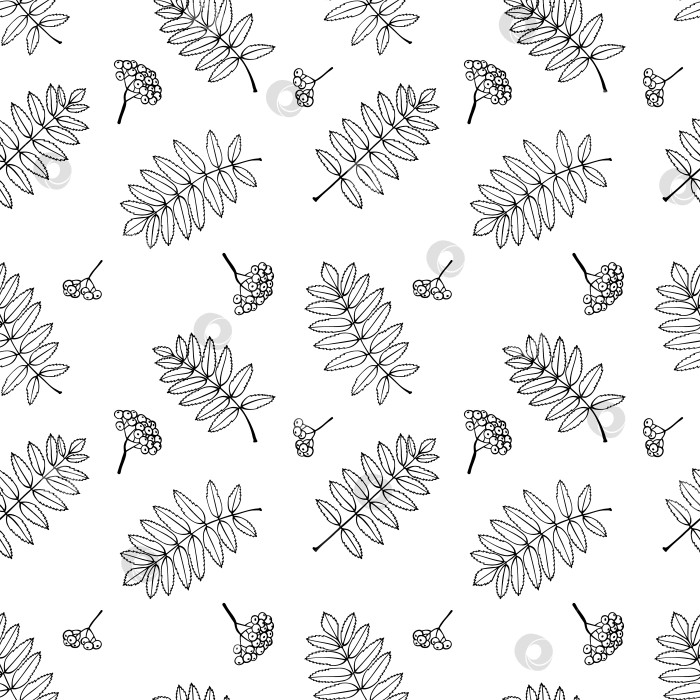 Скачать Бесшовный узор с осенними листьями рябины. Фон осенних праздников. Векторная иллюстрация, нарисованная вручную. фотосток Ozero