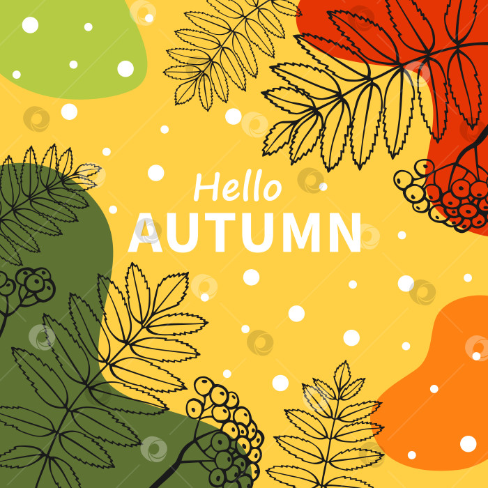 Скачать Яркая осенняя открытка. Красивый плакат с листьями и текстом. Открытки на осенние праздники. Векторная иллюстрация, нарисованная от руки. фотосток Ozero