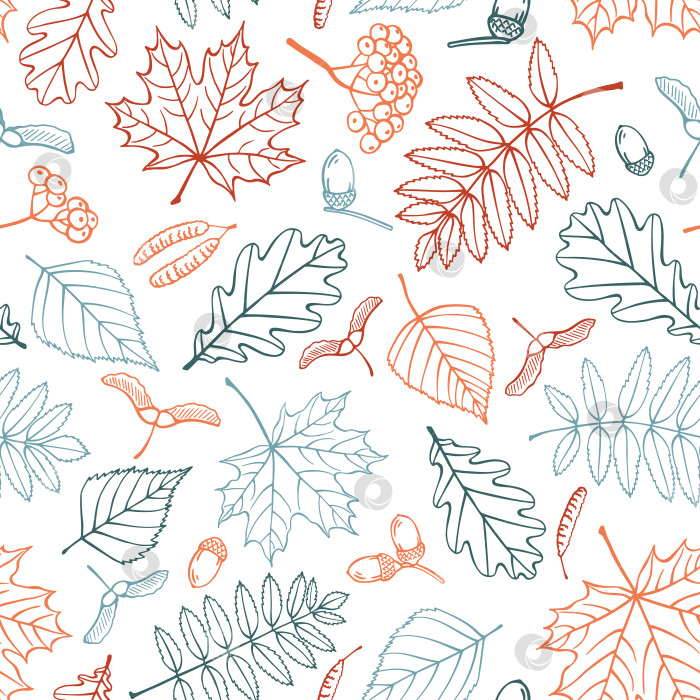 Скачать Бесшовный узор с осенними листьями. Векторная иллюстрация, нарисованная от руки. фотосток Ozero