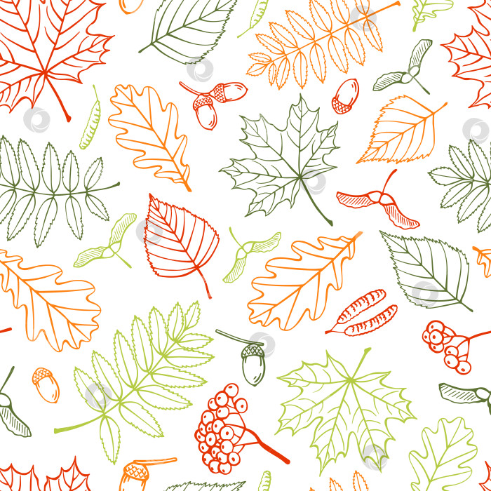 Скачать Бесшовный узор с осенними листьями. Векторная иллюстрация, нарисованная от руки. фотосток Ozero