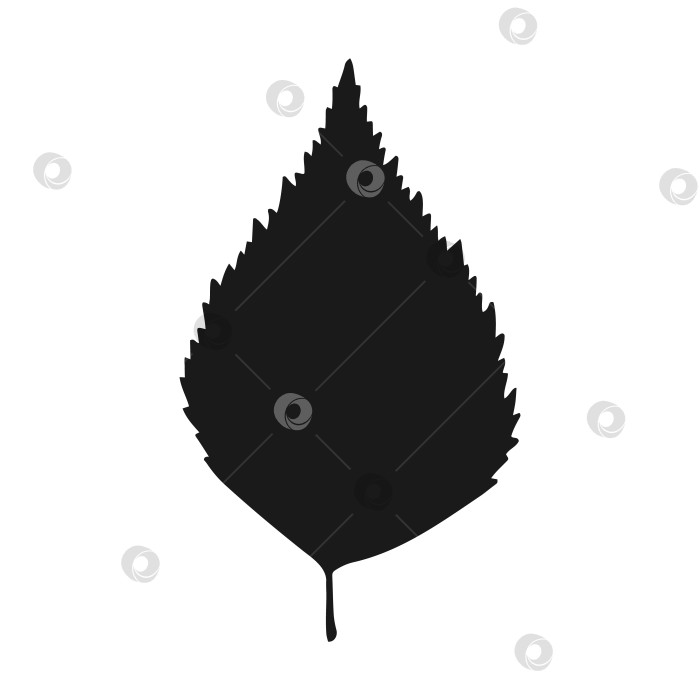 Скачать Силуэт березового листа. Рисованная осенняя векторная иллюстрация. фотосток Ozero