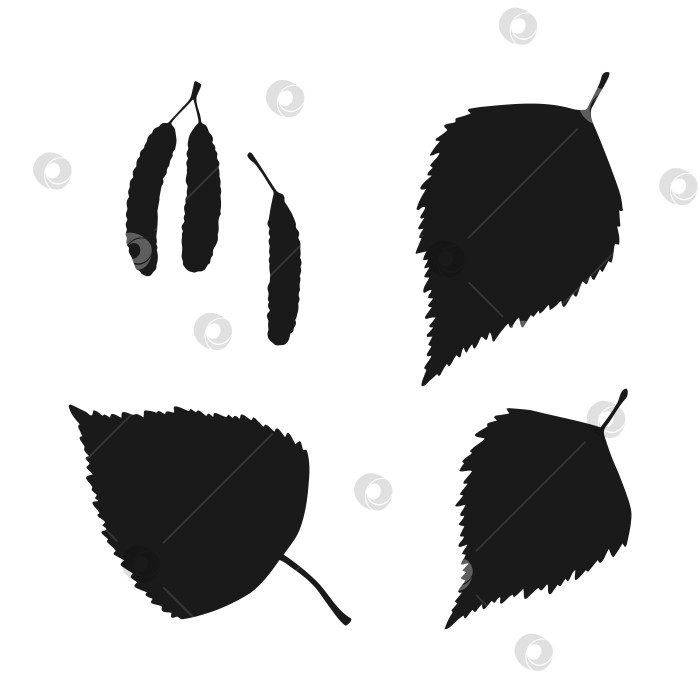 Скачать Набор с силуэтом березового листа. Осенняя векторная иллюстрация, нарисованная от руки. фотосток Ozero