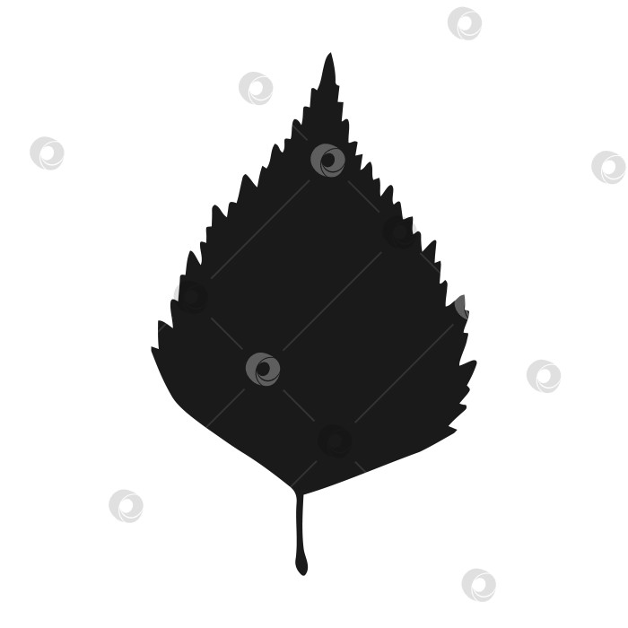 Скачать Силуэт березового листа. Рисованная осенняя векторная иллюстрация. фотосток Ozero