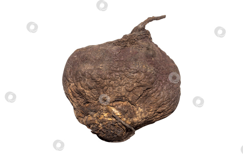 Скачать Сушеная свекла на белом фоне.Сушеная свекла.Свекла сморщивается. фотосток Ozero