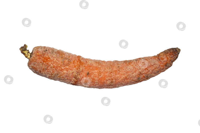 Скачать Вяленая морковь на белом фоне.Сушеная морковь.Морковь сморщенная. фотосток Ozero