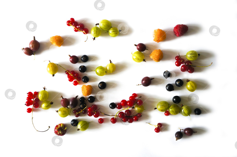 Скачать Разнообразные свежие летние ягоды, рассыпанные на белом фоне фотосток Ozero