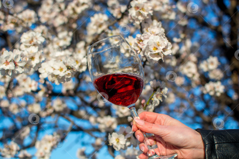 Скачать Вино в руках девушки фотосток Ozero
