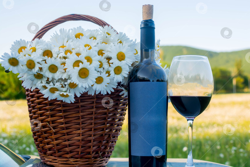 Скачать Вино в ромашковом поле фотосток Ozero
