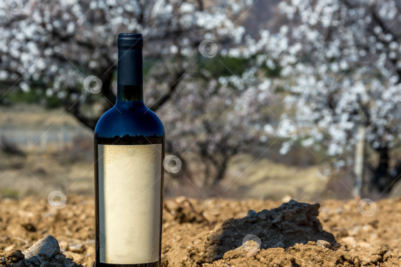 Скачать Бутылка вина на природе фотосток Ozero