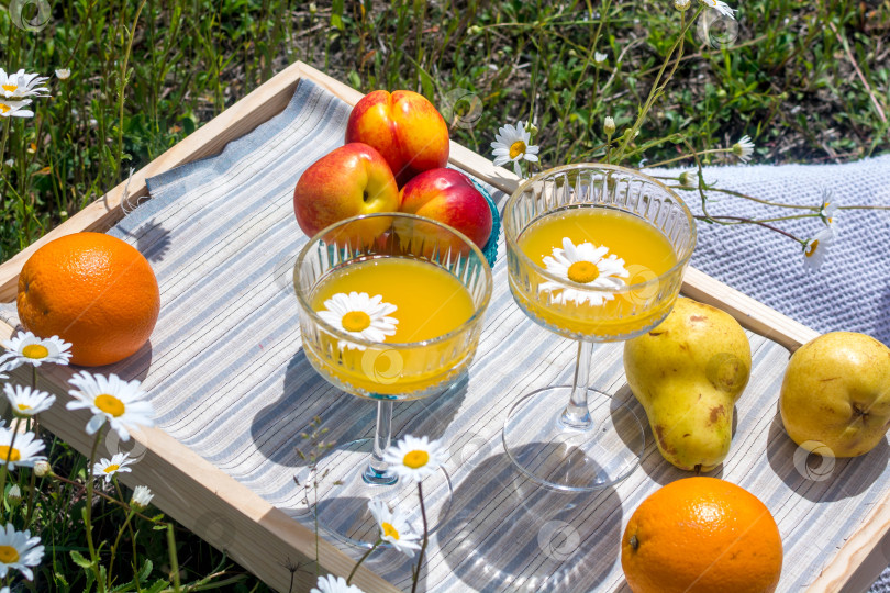 Скачать Девушка на ромашковом поле фотосток Ozero