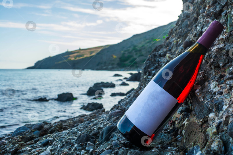 Скачать Вино на берегу моря фотосток Ozero