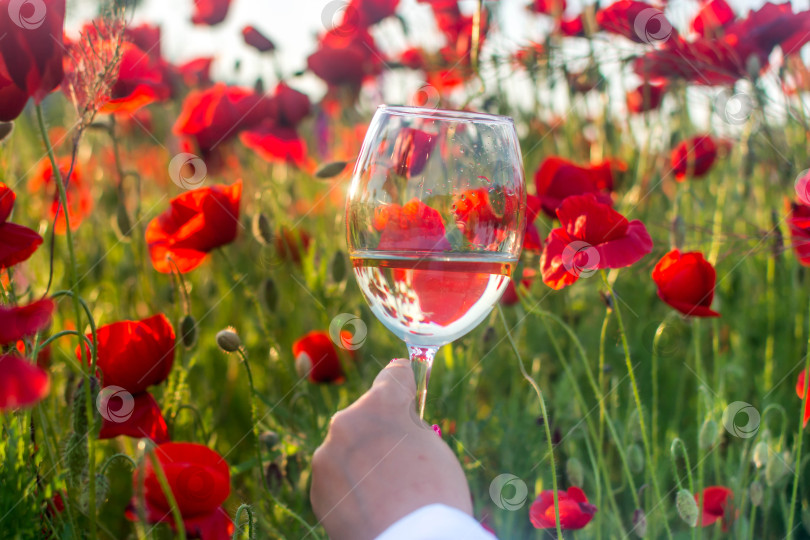 Скачать Бокал вина на природе фотосток Ozero