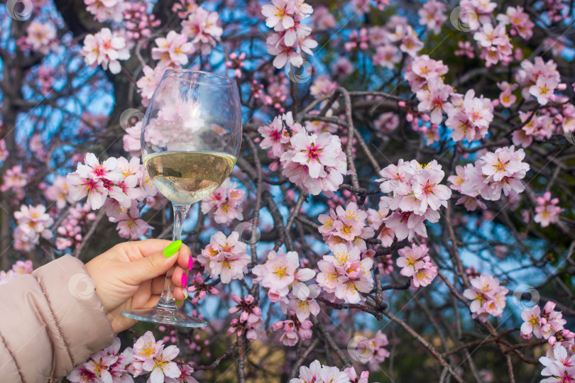 Скачать Бокал вина на природе фотосток Ozero