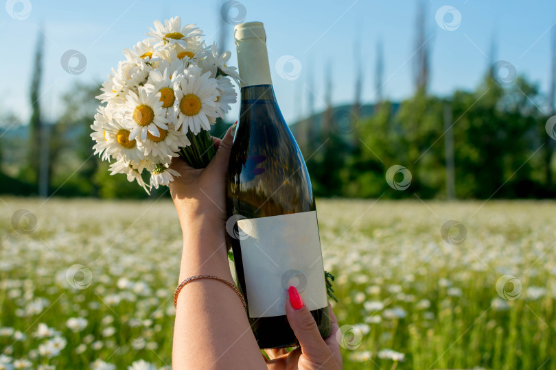 Скачать Вино в ромашках фотосток Ozero