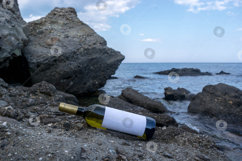 Скачать Бутылка вина на берегу моря фотосток Ozero