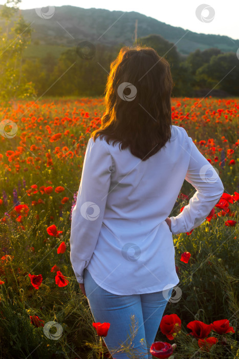 Скачать Девушка на маковом поле фотосток Ozero