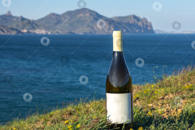 Скачать Вино на берегу моря фотосток Ozero