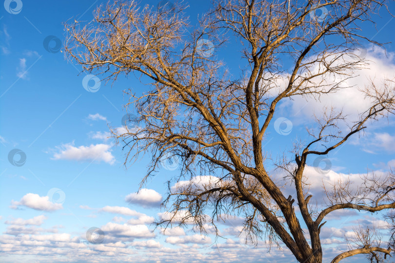 Скачать Облака фотосток Ozero