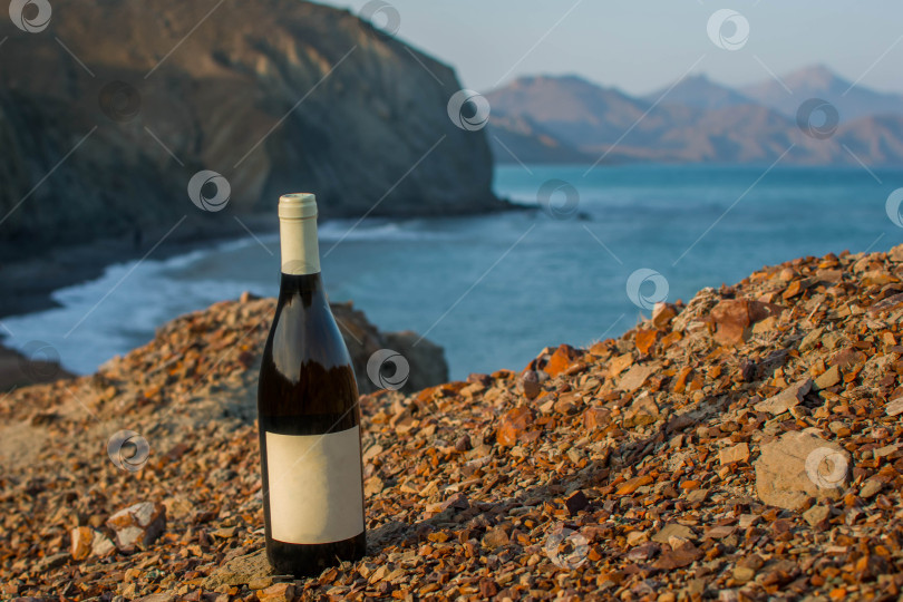 Скачать Бутылка вина на берегу моря фотосток Ozero