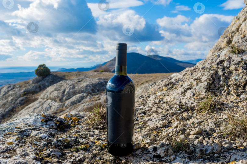 Скачать Бутылка вина на природе фотосток Ozero