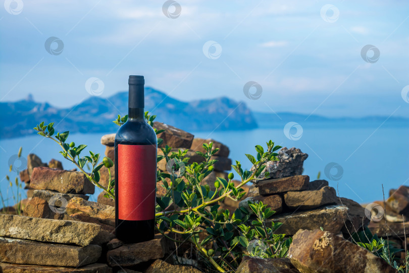 Скачать Вино в природе фотосток Ozero