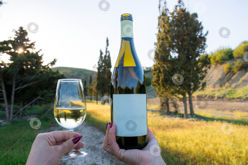 Скачать Вино в парке фотосток Ozero